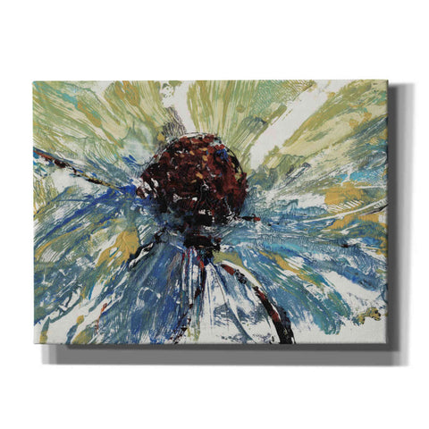 Image of 'Blue Splash II' by Tim O'Toole, Canvas Wall Art