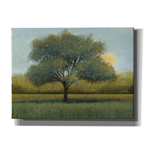 Image of 'Sunrise I' by Tim O'Toole, Canvas Wall Art