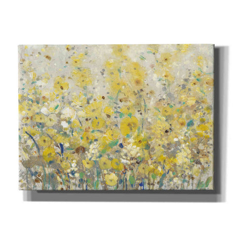 Image of 'Cheerful Garden I' by Tim O'Toole, Canvas Wall Art