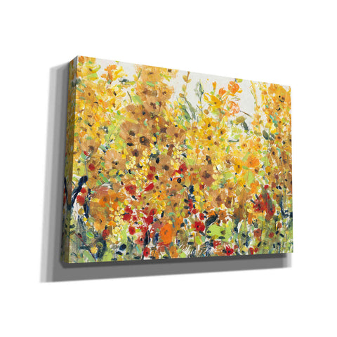 Image of 'Golden Summer Garden II' by Tim O'Toole, Canvas Wall Art