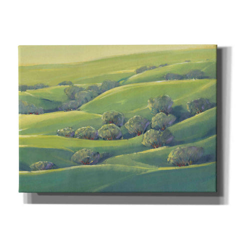 Image of 'Hillside View I' by Tim O'Toole, Canvas Wall Art
