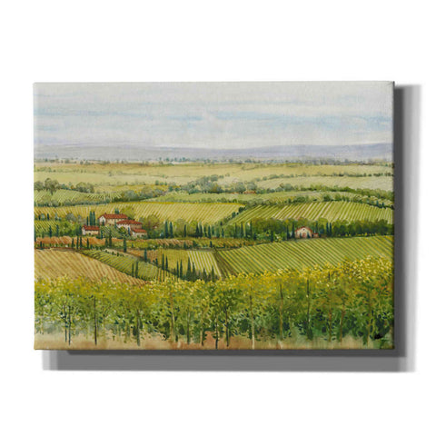 Image of 'Wine Country View I' by Tim O'Toole, Canvas Wall Art