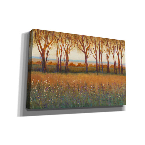 Image of 'Glow in the Afternoon I' by Tim O'Toole, Canvas Wall Art