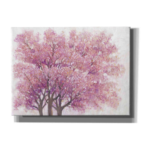 Image of 'Pink Cherry Blossom Tree I' by Tim O'Toole, Canvas Wall Art