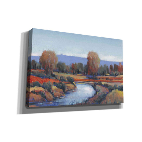 Image of 'Hidden Creek II' by Tim O'Toole, Canvas Wall Art