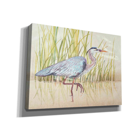 Image of 'Heron & Reeds I' by Tim O'Toole, Canvas Wall Art