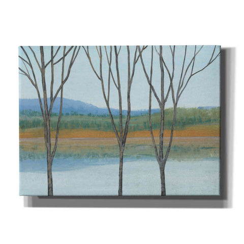 Image of 'Between Water IV' by Tim O'Toole, Canvas Wall Art
