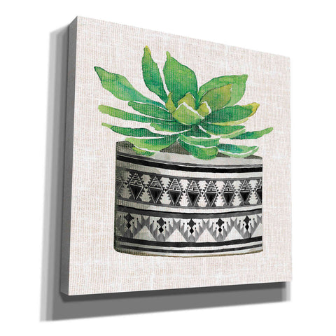 Image of 'Cactus Mud Cloth Vase IV' by Cindy Jacobs, Canvas Wall Art
