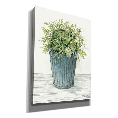 Image of 'Old Bucket of Greenery' by Cindy Jacobs, Canvas Wall Art