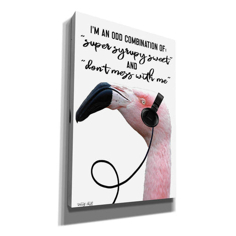 Image of 'I'm an Odd Combination' by Cindy Jacobs, Canvas Wall Art