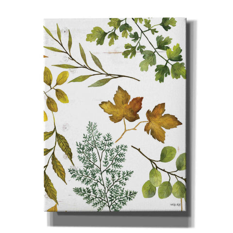 Image of 'Leaf Patterns II' by Cindy Jacobs, Canvas Wall Art