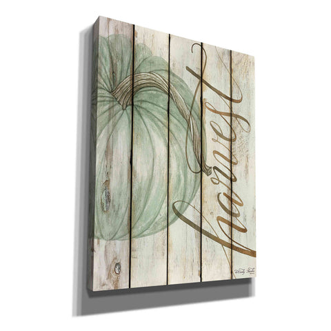Image of 'Harvest Pumpkin on Shiplap' by Cindy Jacobs, Canvas Wall Art