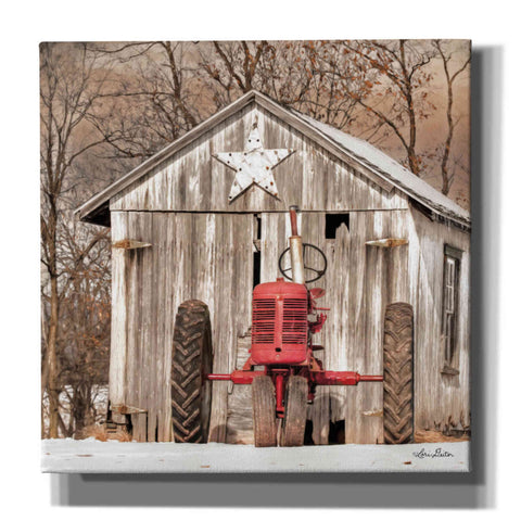 Image of 'Star Shed' by Lori Deiter, Canvas Wall Art