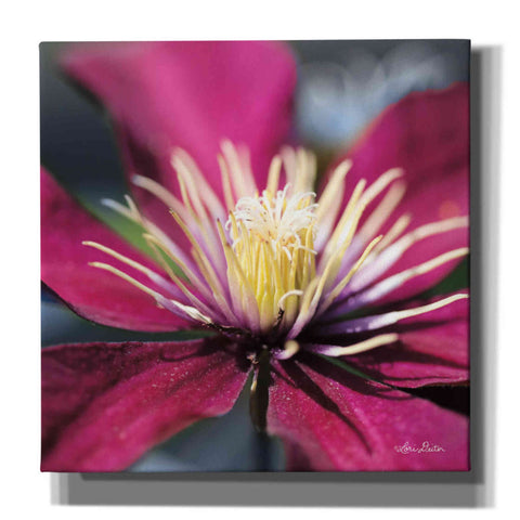 Image of 'Floral Pop II' by Lori Deiter, Canvas Wall Art