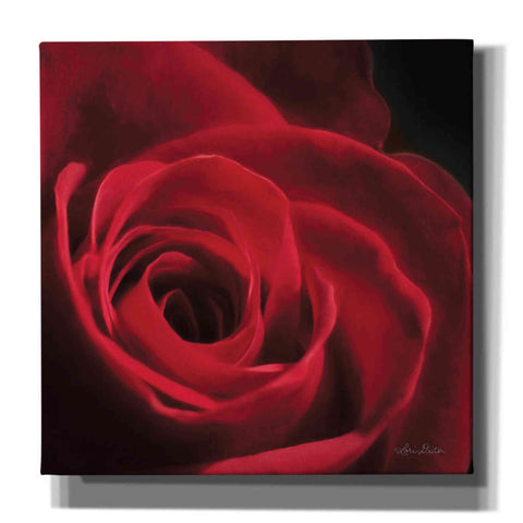Image of 'The Red Rose I' by Lori Deiter, Canvas Wall Art