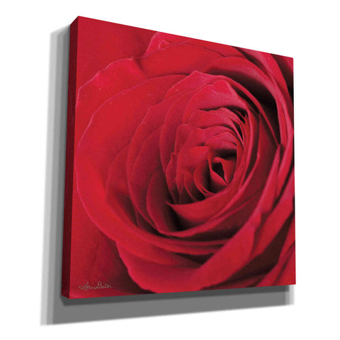Image of 'The Red Rose III' by Lori Deiter, Canvas Wall Art
