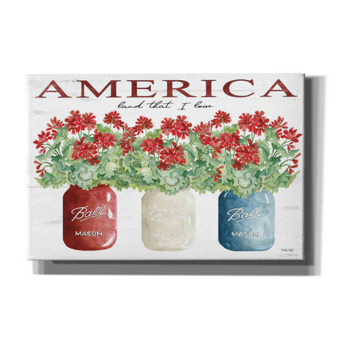 Image of 'America Glass Jars' by Cindy Jacobs, Canvas Wall Art