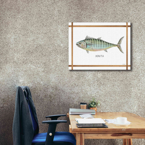 Image of 'Bonita on White' by Cindy Jacobs, Canvas Wall Art,34 x 26