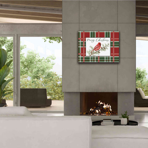 Image of 'Merry Christmas Cardinal' by Cindy Jacobs, Canvas Wall Art,34 x 26