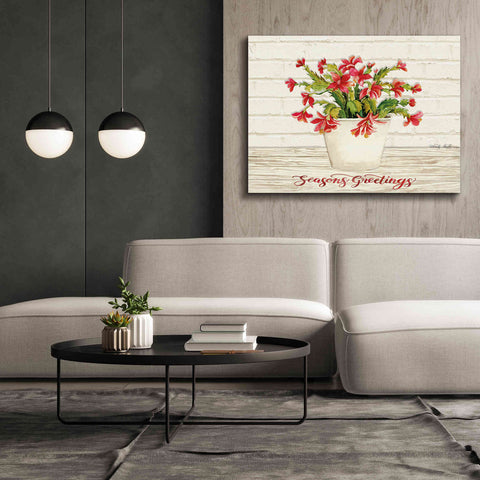 Image of 'Christmas Cactus - Season's Greetings' by Cindy Jacobs, Canvas Wall Art,54 x 40
