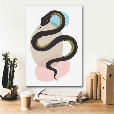 Image of 'Snake' by Ayse, Canvas Wall Art,18 x 26