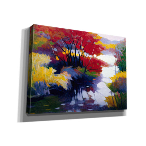Image of 'Indian Summer' by Tadashi Asoma, Canvas Wall Art
