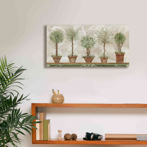 Image of 'Topiaries in a Row' by Cindy Jacobs, Canvas Wall Art,24 x 12