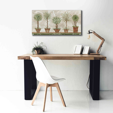 Image of 'Topiaries in a Row' by Cindy Jacobs, Canvas Wall Art,40 x 20