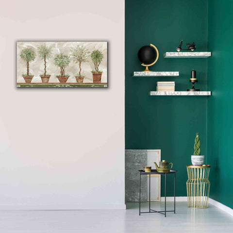 Image of 'Topiaries in a Row' by Cindy Jacobs, Canvas Wall Art,40 x 20