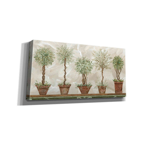 Image of 'Topiaries in a Row' by Cindy Jacobs, Canvas Wall Art