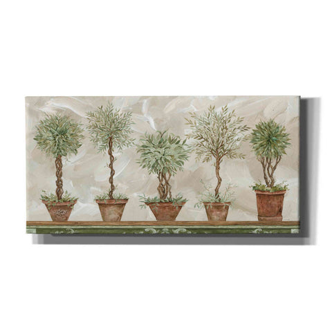 Image of 'Topiaries in a Row' by Cindy Jacobs, Canvas Wall Art