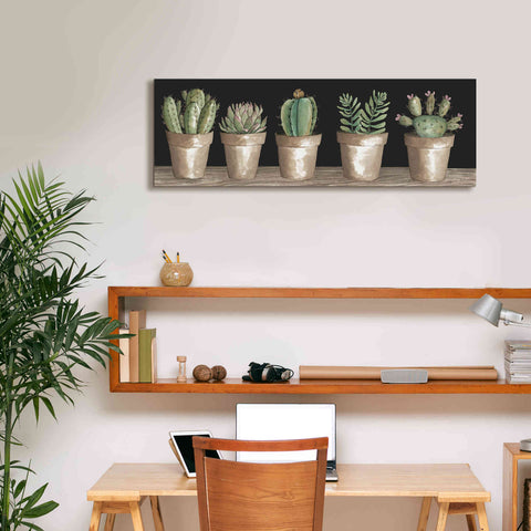 Image of 'Cactus Row' by Cindy Jacobs, Canvas Wall Art,36 x 12