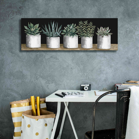 Image of 'Succulent Row' by Cindy Jacobs, Canvas Wall Art,36 x 12