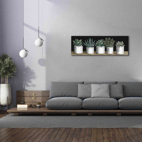 Image of 'Succulent Row' by Cindy Jacobs, Canvas Wall Art,60 x 20