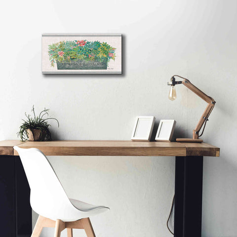 Image of 'Flowers & Succulents' by Cindy Jacobs, Canvas Wall Art,24 x 12