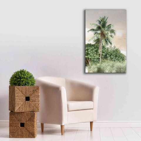 Image of 'Sanibel Island Palm' by Lori Deiter, Canvas Wall Art,26 x 40