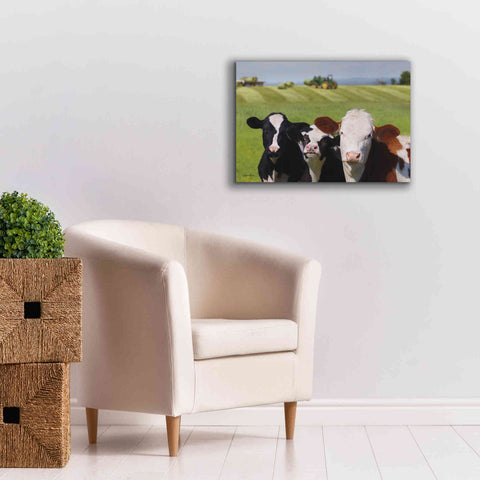 Image of 'Making Hay' by Lori Deiter, Canvas Wall Art,26 x 18