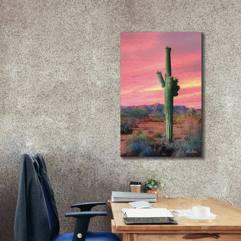 Image of 'Vibrant Cactus Sunset' by Lori Deiter, Canvas Wall Art,26 x 40