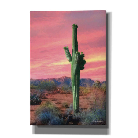 Image of 'Vibrant Cactus Sunset' by Lori Deiter, Canvas Wall Art