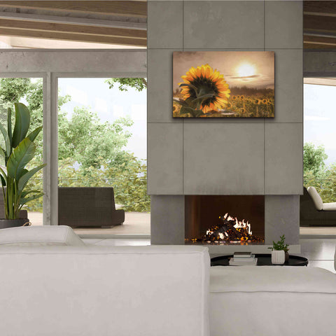 Image of 'Sunlit Sunflower' by Lori Deiter, Canvas Wall Art,40 x 26