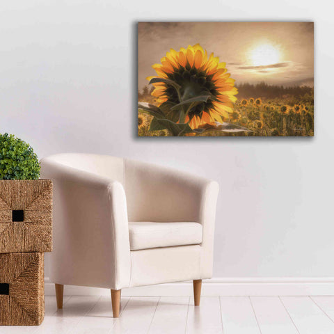 Image of 'Sunlit Sunflower' by Lori Deiter, Canvas Wall Art,40 x 26