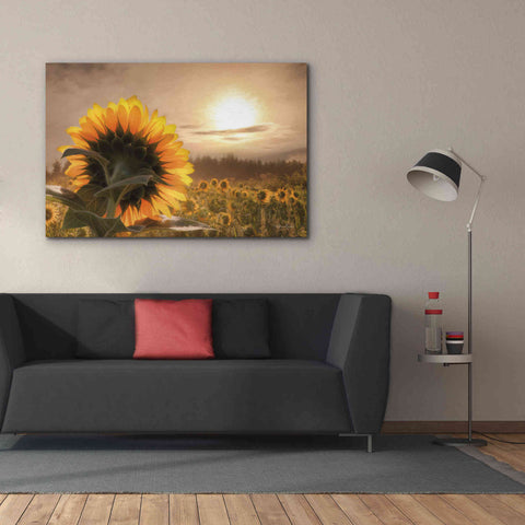 Image of 'Sunlit Sunflower' by Lori Deiter, Canvas Wall Art,60 x 40