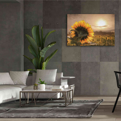 Image of 'Sunlit Sunflower' by Lori Deiter, Canvas Wall Art,60 x 40