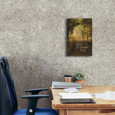 Image of 'Life is a Beautiful Thing' by Lori Deiter, Canvas Wall Art,12 x 18