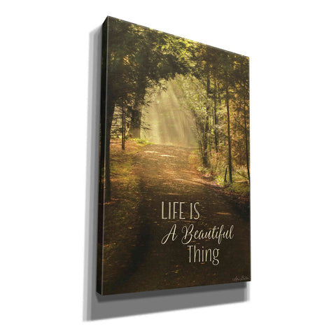 Image of 'Life is a Beautiful Thing' by Lori Deiter, Canvas Wall Art