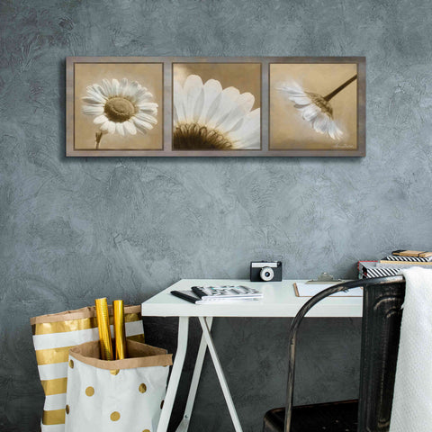 Image of 'Daisy Trio' by Lori Deiter, Canvas Wall Art,60 x 20