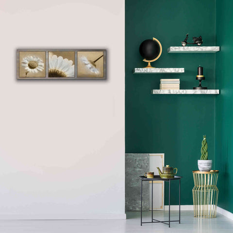 Image of 'Daisy Trio' by Lori Deiter, Canvas Wall Art,36 x 12