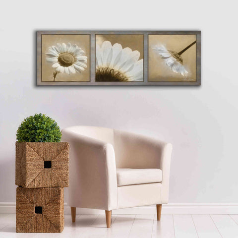 Image of 'Daisy Trio' by Lori Deiter, Canvas Wall Art,60 x 20