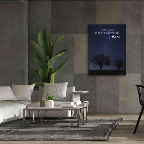 Image of 'See the Stars' by Lori Deiter, Canvas Wall Art,40 x 54