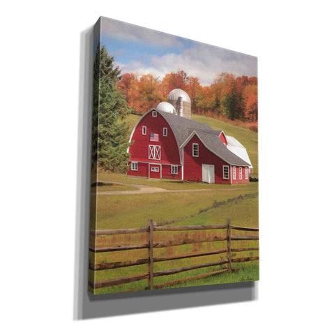 Image of 'One Flag, One Land' by Lori Deiter, Canvas Wall Art